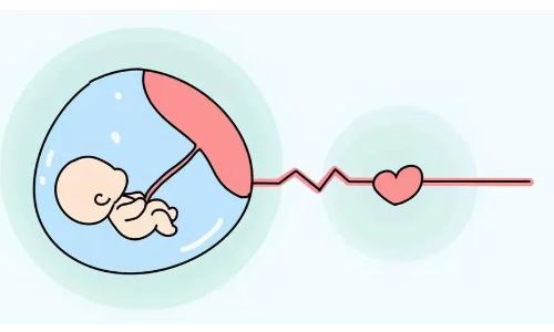 胚胎發育停止是什么原因?胚胎停止發育是什么原因造成的?